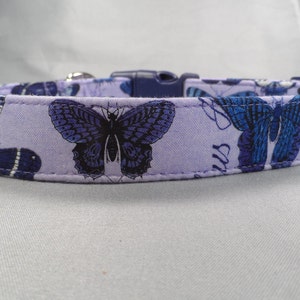 Indigo Butterflies Dog Collar