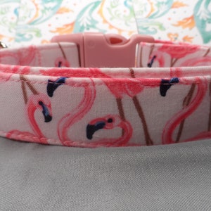Pink Flamingo Dog Collar, Pink on Pink