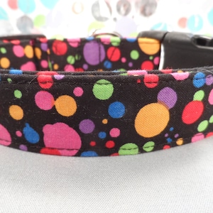 Funky Dog Collar Color, Pop Polka Dots, Girl or Boy Dog Collar