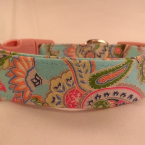 Dog Collar Colorful Spring Paisley on Blue
