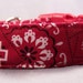 see more listings in the Colorful Dog Collars section