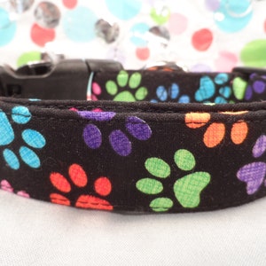 Dog Collar Colorful Paw Prints