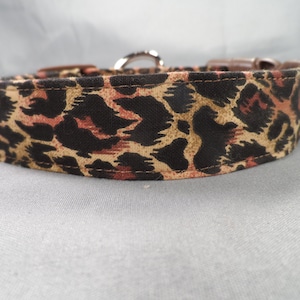 Leopard Dog Collar Classic Leopard Print