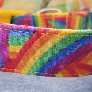Shooting Rainbows Dog Collar
