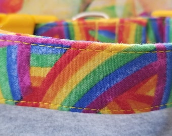 Shooting Rainbows Dog Collar