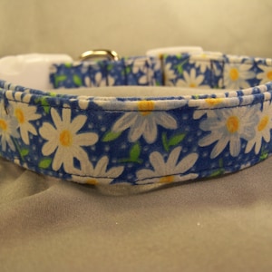 Little Daisy Flowers on Blue Dog Collar