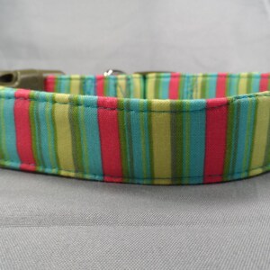 Bright Colorful Spring Stripe Dog Collar