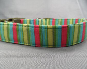 Bright Colorful Spring Stripe Dog Collar