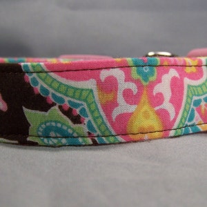 Colorful Paisley on Brown Dog Collar