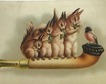 Antique Advertising Chromo Trade Card, Squirrels