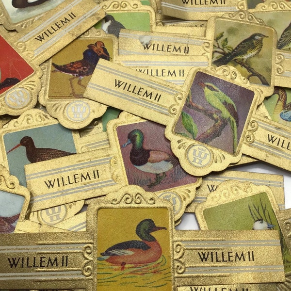 Beautiful Bird Themed Cigar Labels - Mixed Set of Vintage Paper Tobacco Ephemera - Available in Sets of 25, 50, or 100