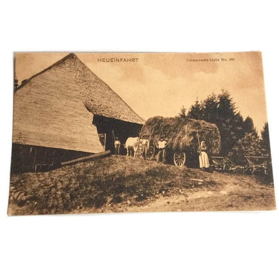 Vintage Farm Life Postcard Horses Hay Wagon Postcards