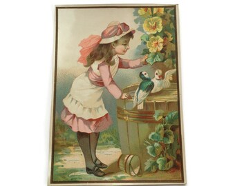 Antike französische Werbe-Chromo-Handelskarte, Mädchen-Tauben