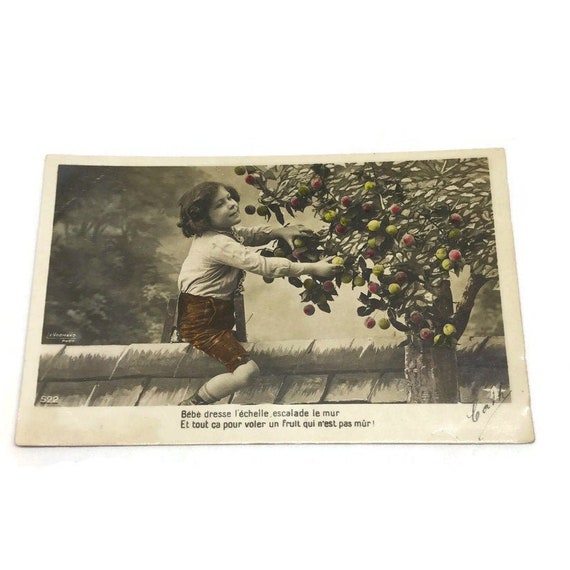 French Vintage Postcard Boy Stealing Neighbor S Apples Etsy French Vintage Postcard Boy Stealing Neighbor S Apples Etsy