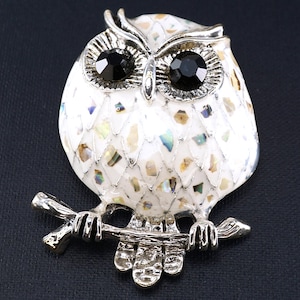 White Owl Brooch, Vintage Owl Pin, Big Black Eyes, Real Shell Chips Brooch Pendant, School Graduation Student Teacher Gift, Shawl Scarf Pin
