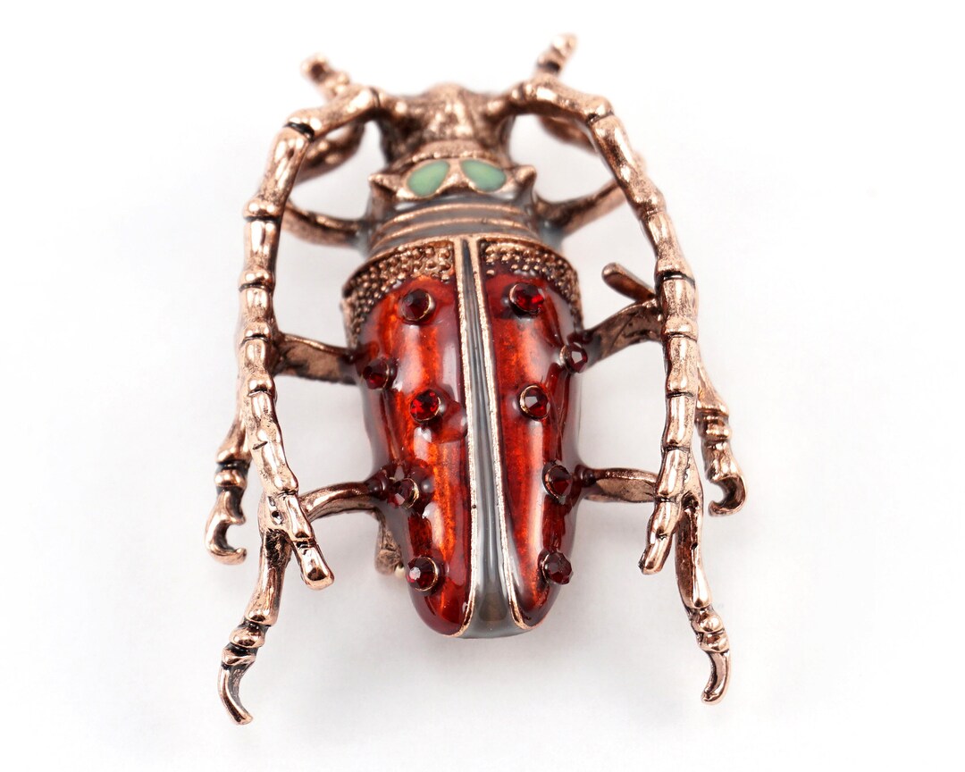 ON VACATION Big Red Bug Brooch, Vintage Beetle Pin, Enamel Insect ...