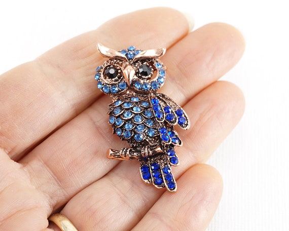 Blauwe Broche Koperen Uil Pin Glas Strass Broche Etsy België