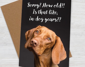 Cheeky Dog Years Birthday Card with Vizsla