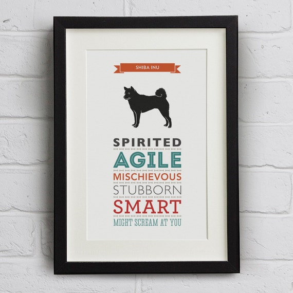 Shiba Inu Dog Breed Traits Print