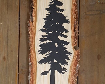 Sitka tree live edge west coast bc tofino spruce Westcoastkitsch Vancouver Island west coast evergreen cedar forest reclaimed rustic wood