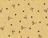 Kim Diehl Butter Churn Basics Stars and Squiggles On Beige With Hints of Blue and Red, Henry Glass Fabrics by the Yard 6286 33