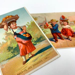 Vintage/Antique 1800s French Country Harvest Children Victorian Trade Card Lot