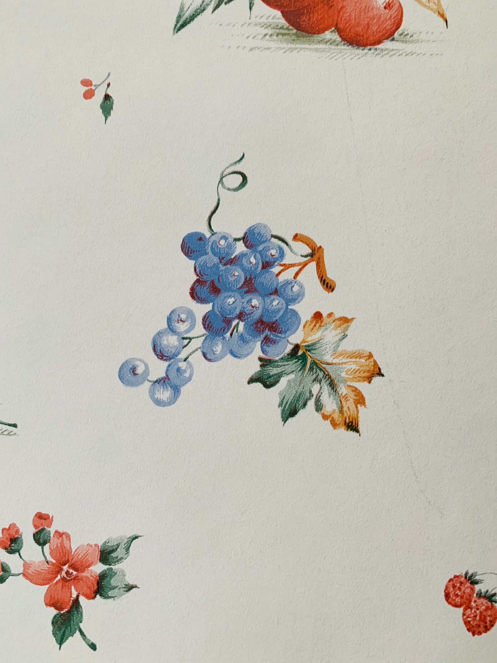 Stunning vintage 1950s kitchen wipeable wallpaper sold by