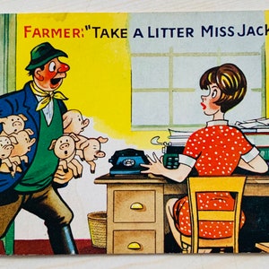 1950s unused vintage cheeky / rude novelty /postcard