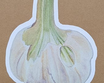 Garlic Bulb Sticker