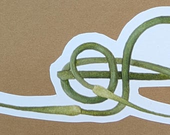 Garlic Scape Sticker