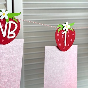 Strawberries and daisies 1st Year Photo/Milestone Banner.  Berry sweet nb-12mo banner. Strawberry photo banner. Strawberry milestone banner