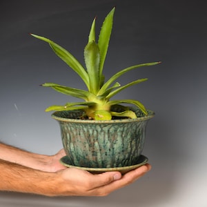 Ceramic Planter with Drainage Holes | Stoneware Plant Pot | Green Glaze #54
