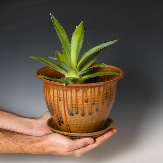 Ceramic Planter with Drainage Holes | Stoneware Plant Pot | Yellow Ash Glaze #3