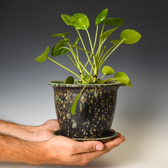 Ceramic Planter with Drainage Holes in Green & Black Glaze, Stoneware Plant Pot #608