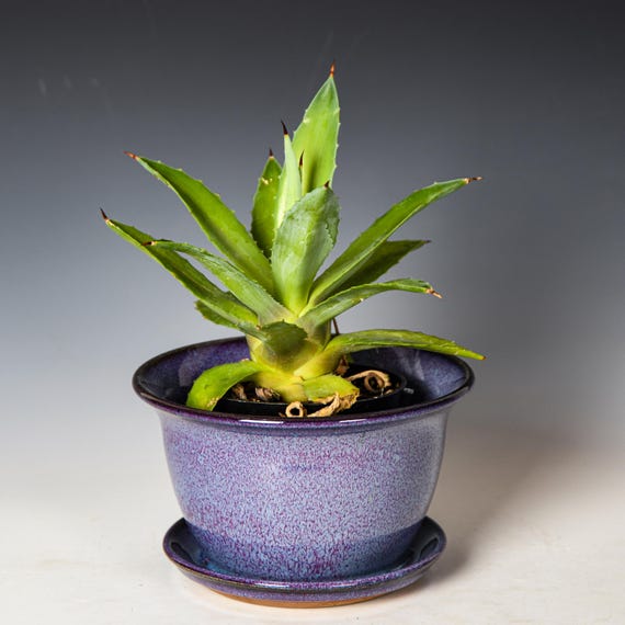 Wheel Thrown Planter with Drainage Holes in Purple Glaze, Stoneware Plant Pot #719