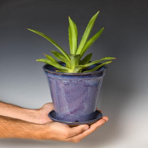 May include: A tapered ceramic plant pot with a speckled purple and blue glaze, featuring a decorative textured rim and a matching saucer. A green agave plant with pointed leaves sits inside the pot, which has a smooth, glossy finish.