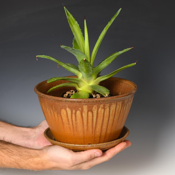Ceramic Planter with Drainage Holes | Stoneware Plant Pot | Ash Glaze #13