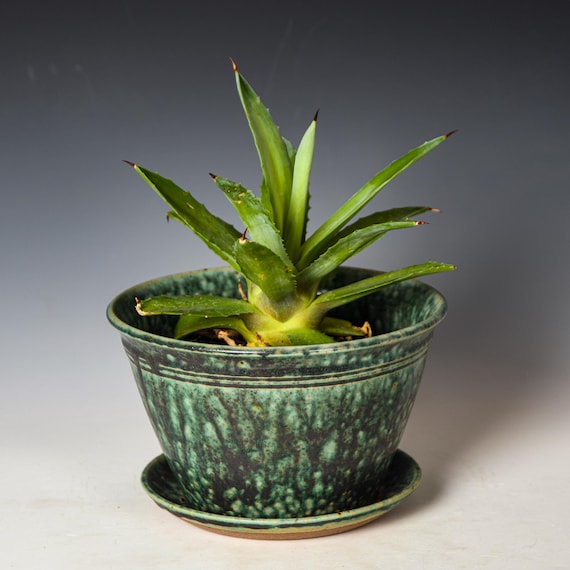 Ceramic Planter with Drainage Holes in Green & Black Glaze, Stoneware Plant Pot #734