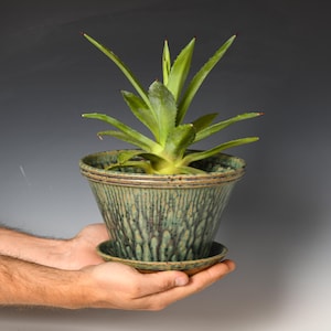May include: A green ceramic planter with a matching saucer holds a green succulent plant. The planter has a textured, dripped glaze effect in shades of green and brown. The plant has long, pointed green leaves with red tips.