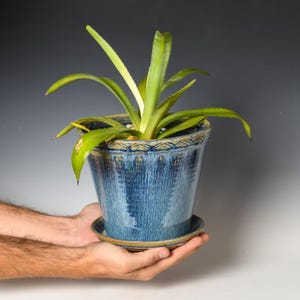 May include: A blue ceramic plant pot with a matching saucer, featuring a textured, dripped glaze finish and a decorative scalloped rim pattern. The pot contains a green, leafy plant with long, pointed, sword-shaped foliage.