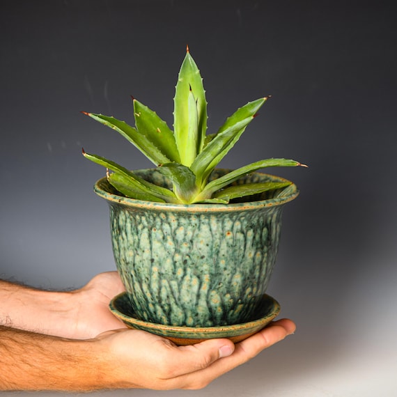 Wheel Thrown Planter with Drainage Holes in Green & Black Glaze, Stoneware Plant Pot #726