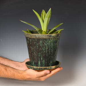 May include: A green and brown ceramic planter with a matching saucer, holding a small green plant. The planter has a textured surface and horizontal lines near the rim. The plant has long, pointed green leaves. The planter and saucer are being held.