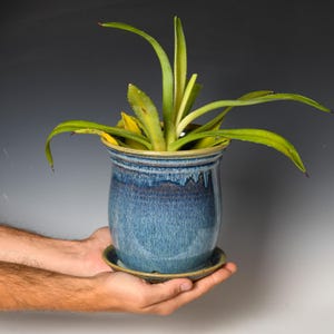 May include: A ceramic planter with a glossy, mottled blue glaze featuring a flared rim and a matching saucer. The pot contains a green succulent plant with long, pointed leaves that extend outward from the center of the vessel.