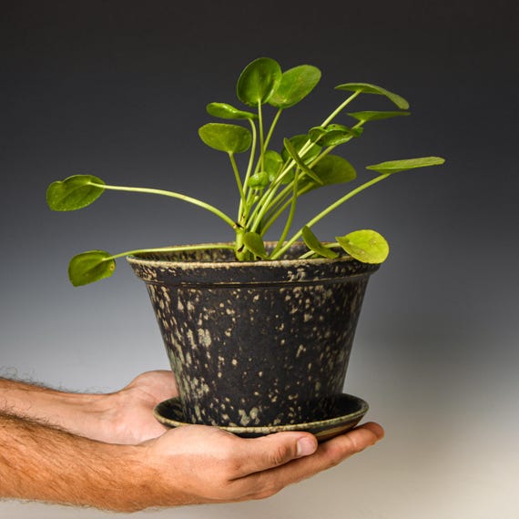 Ceramic Planter with Drainage Holes in Green & Black Glaze, Stoneware Plant Pot #614