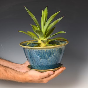 May include: A blue ceramic planter with a matching saucer holds a green succulent plant. The planter has a wide, flared rim and a glossy finish. The plant has long, pointed leaves with reddish tips. The planter is held in two hands.
