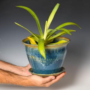 Può includere: Un vaso per piante in ceramica con bordo svasato e sottovaso abbinato, caratterizzato da una smaltatura blu profondo con striature gialle e marroni. Il vaso contiene una pianta verde con foglie lunghe e appuntite rivolte verso l'alto.