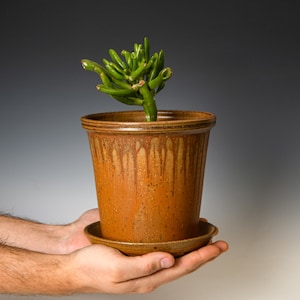 Pottery Planter with Drainage Holes in Yellow Ash Glaze, Wheel Thrown Flower Pot, Stoneware Plant Pot #508