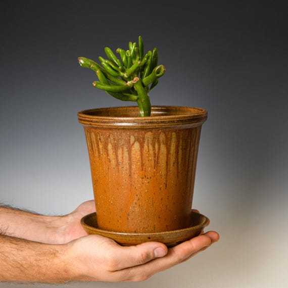 Pottery Planter with Drainage Holes in Yellow Ash Glaze, Wheel Thrown Flower Pot, Stoneware Plant Pot #508