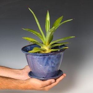 May include: A vibrant green agave plant with pointed leaves sits in a deep blue, glazed ceramic pot. The pot features a flared rim and a matching circular saucer base, showcasing a mottled, glossy finish with subtle variations in blue and purple tones.