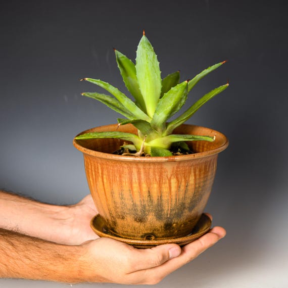 Wheel Thrown Planter with Drainage Holes in Yellow Ash Glaze, Stoneware Plant Pot #733